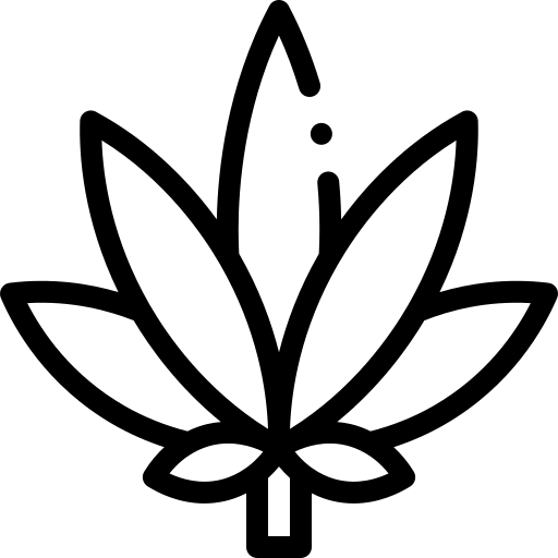 cannabis Detailed Rounded Lineal Ícone