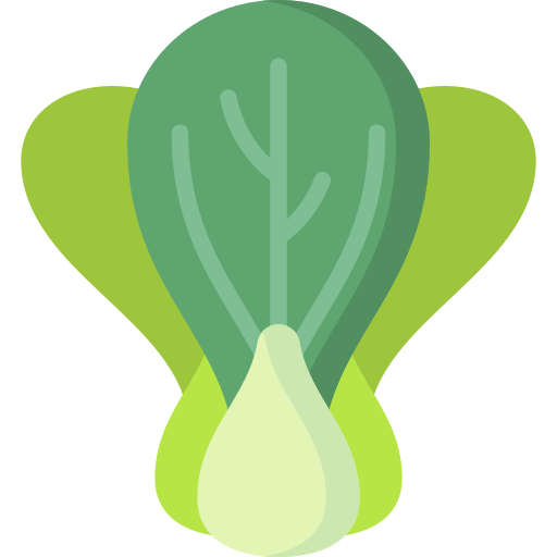 bok choy Special Flat icon