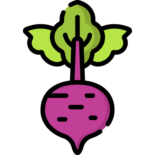 Beetroot Special Lineal color icon