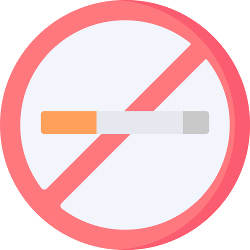 No smoking Special Flat icon