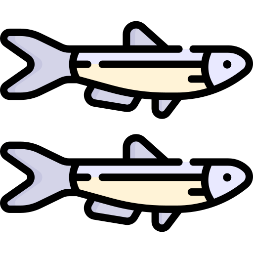 anchovas Special Lineal color Ícone