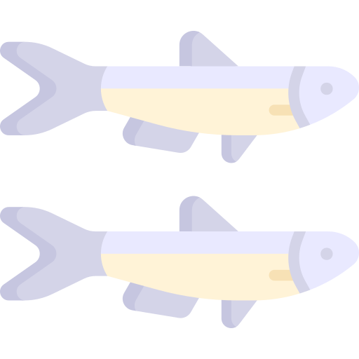 anchoa Special Flat icono