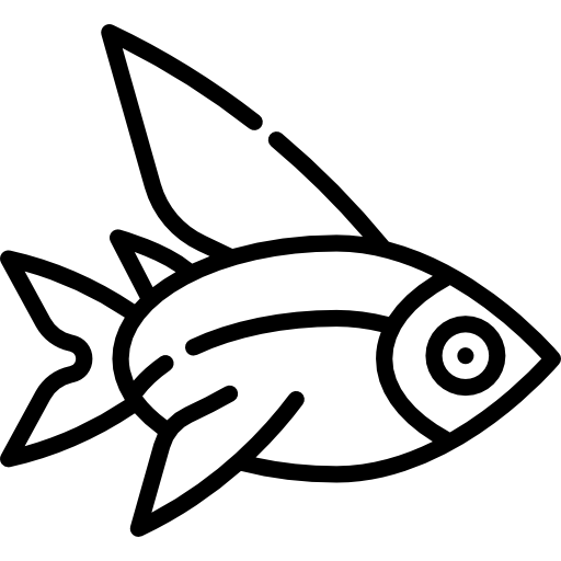 peixe voador Special Lineal Ícone
