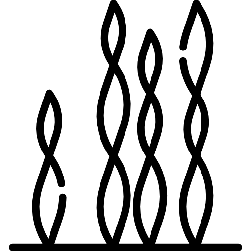 wodorost Special Lineal ikona