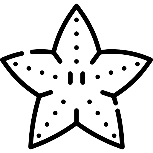Starfish Special Lineal icon