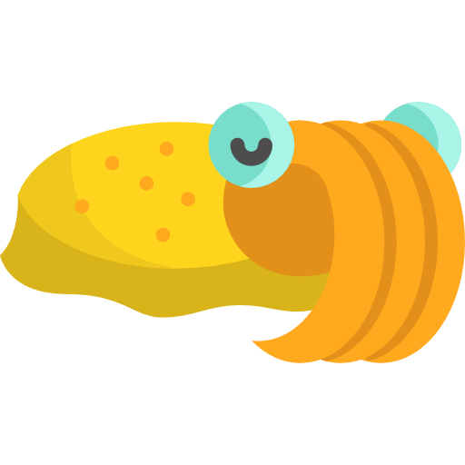 Cuttlefish Special Flat icon