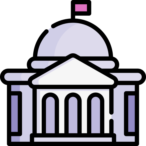 gobierno Special Lineal color icono
