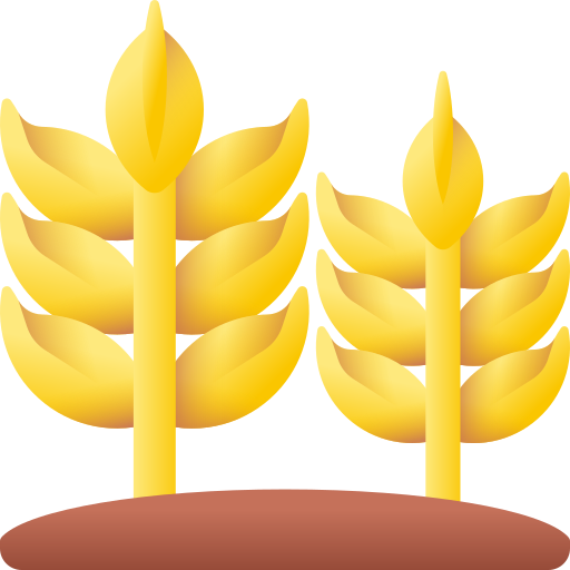 Wheat 3D Color icon