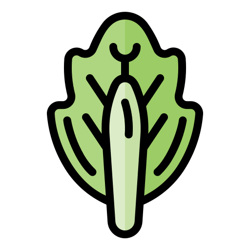 Cabbage Generic Outline Color icon