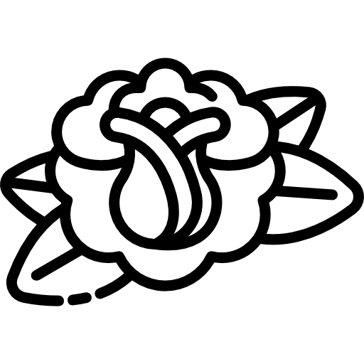 róża Special Lineal ikona