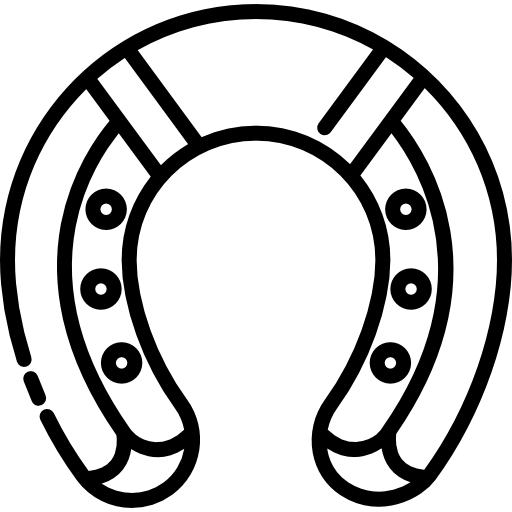 Horseshoe Special Lineal icon