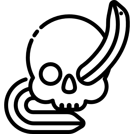 Skull Special Lineal icon