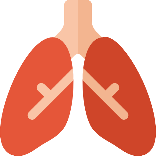 pulmones Basic Rounded Flat icono