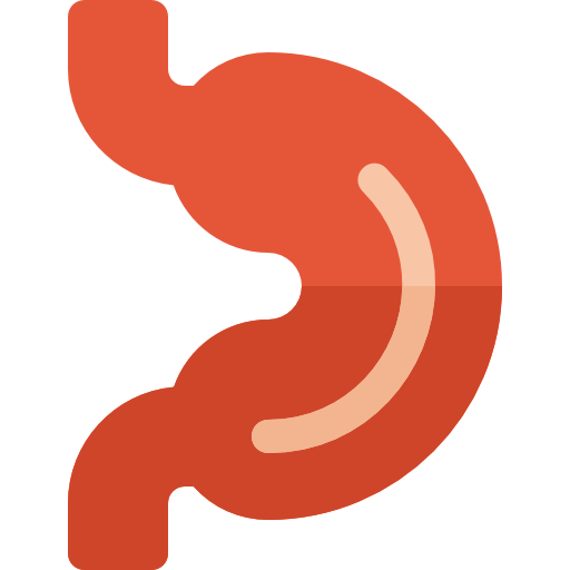 Stomach Basic Rounded Flat icon