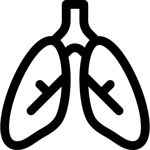 pulmões Basic Rounded Lineal Ícone