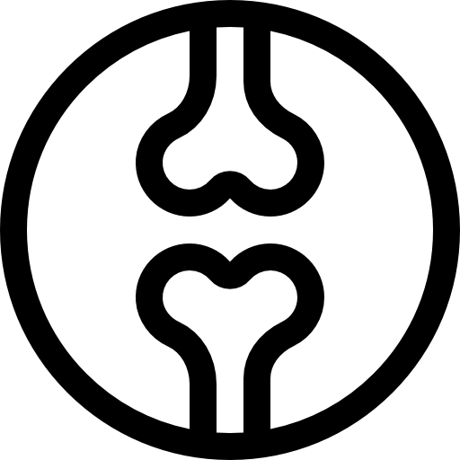 정형 외과 Basic Rounded Lineal icon