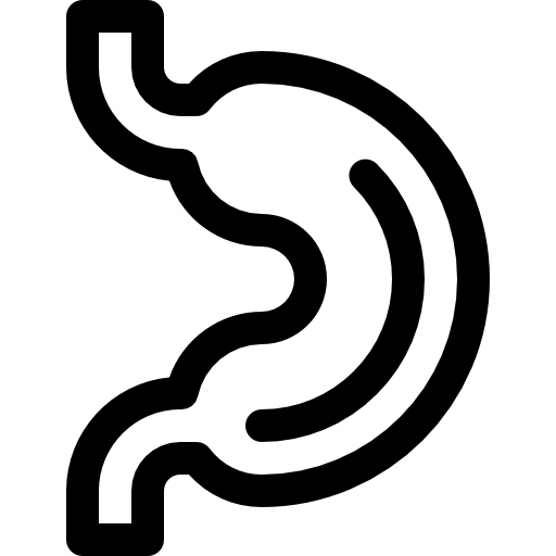 Stomach Basic Rounded Lineal icon