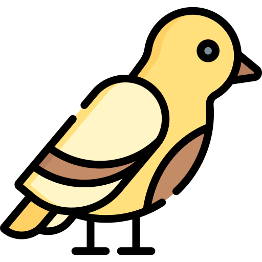 Птица Special Lineal color иконка