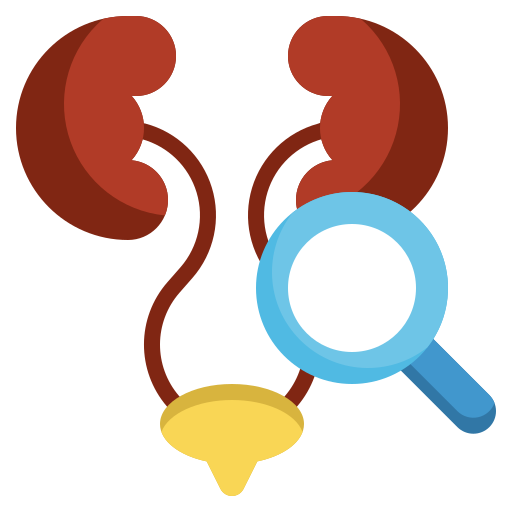 腎臓 Surang Flat icon