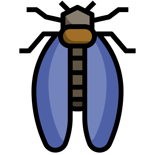 cicala Surang Lineal Color icona