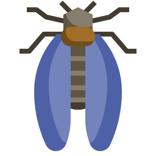 Cicada Surang Flat icon