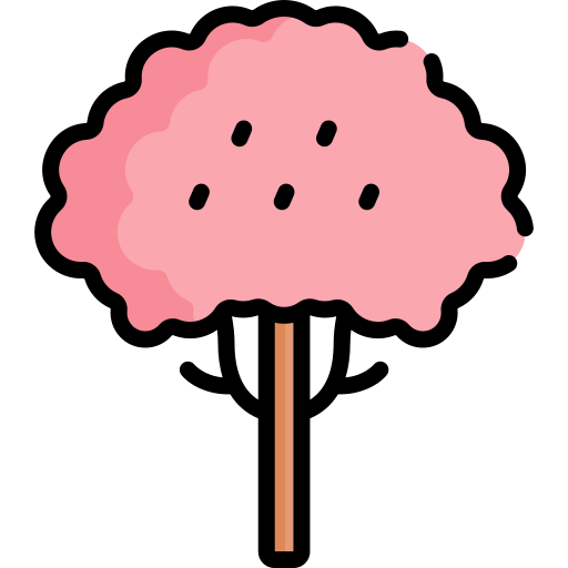 체리 나무 Special Lineal color icon