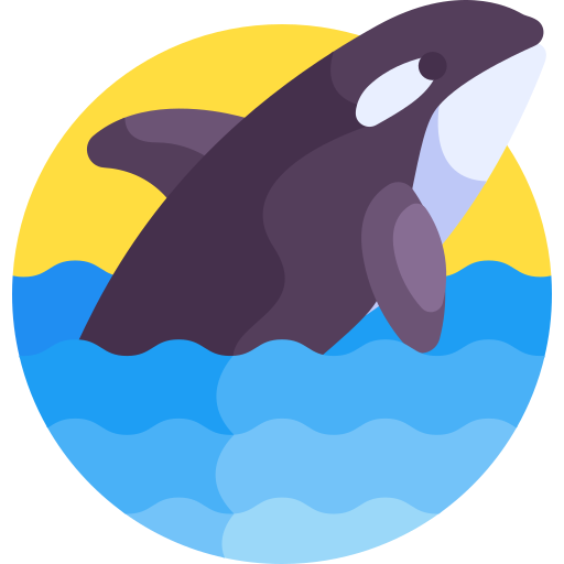 Whale Detailed Flat Circular Flat icon