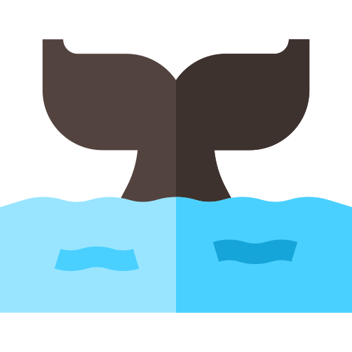 balena Basic Straight Flat icona