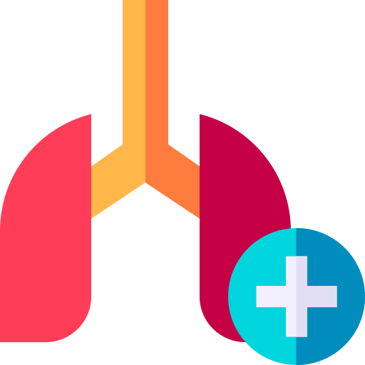 pulmones Basic Straight Flat icono