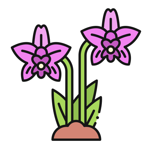 orquídea Generic Outline Color icono