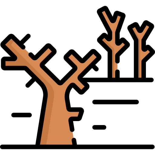 Dry tree Special Lineal color icon