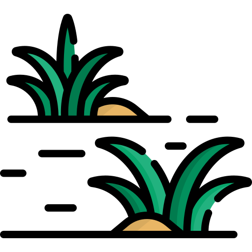 잔디 Special Lineal color icon
