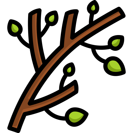 Branch Generic Outline Color icon