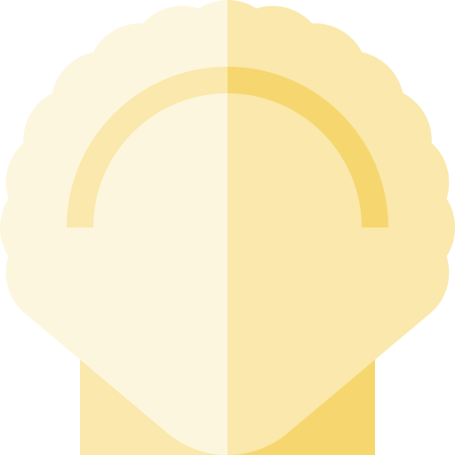 concha Basic Straight Flat icono