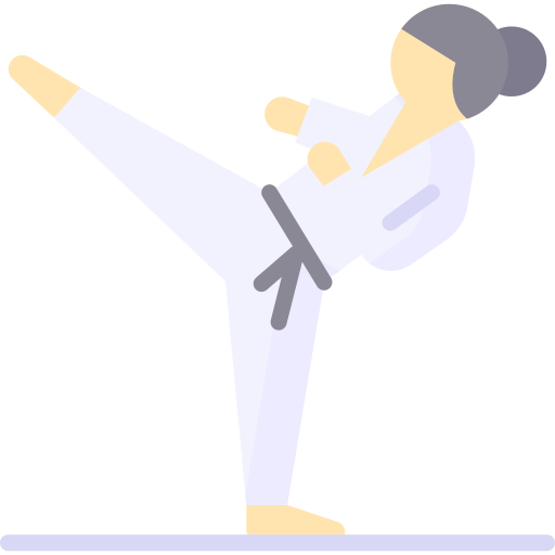 taekwondo Special Flat icoon
