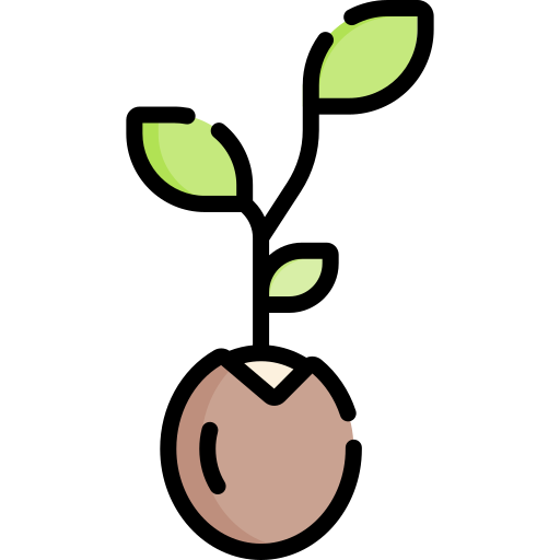 Sprout Special Lineal color icon