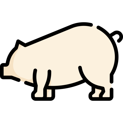 schwein Special Lineal color icon