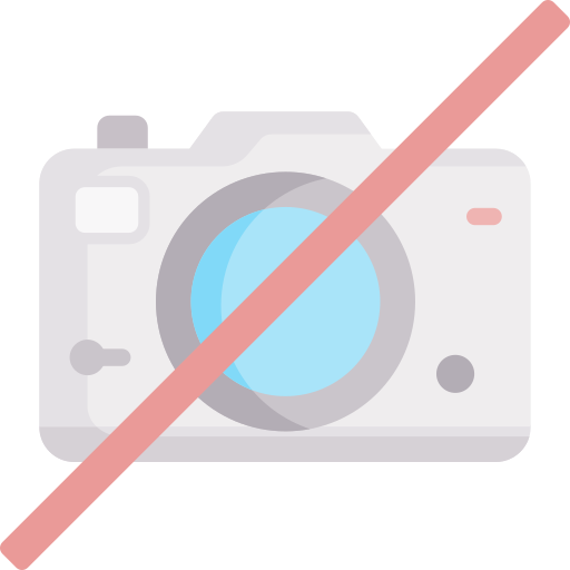 No camera Special Flat icon