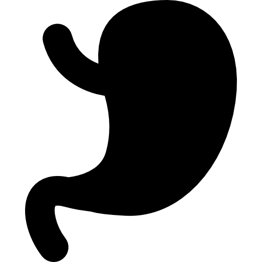 forma dello stomaco  icona