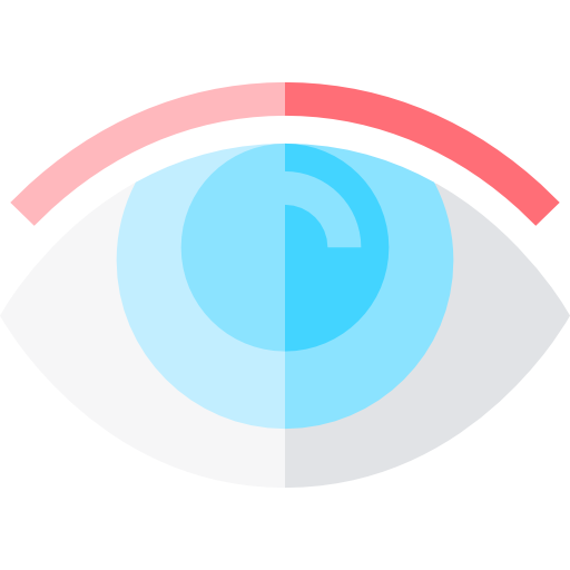 Eye Basic Straight Flat icon