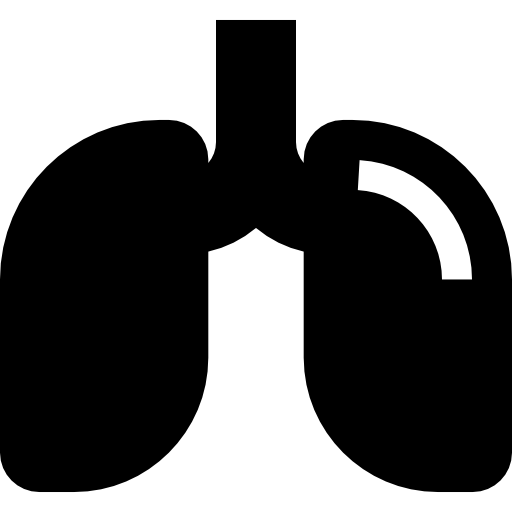 pulmões Basic Straight Filled Ícone