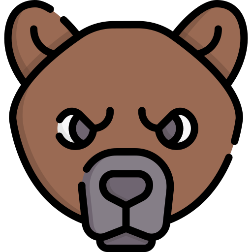 Bear Special Lineal color icon