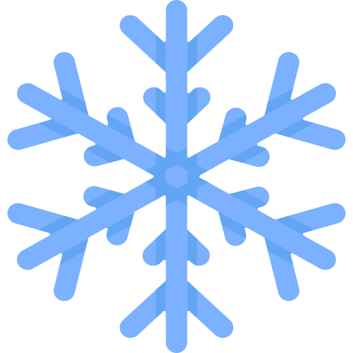 Snowflake Special Flat icon