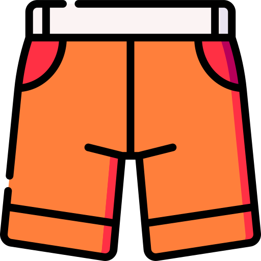 Shorts Special Lineal color icon