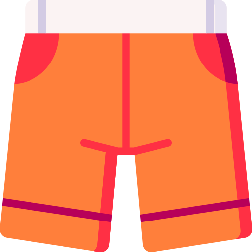 Shorts Special Flat icon