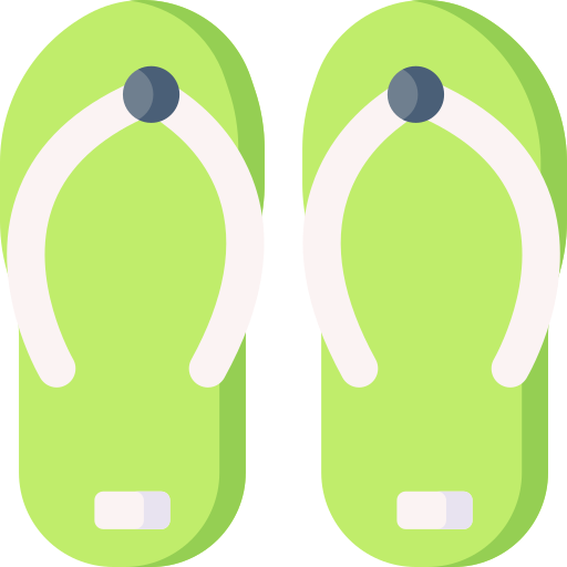 flip flops Special Flat icon