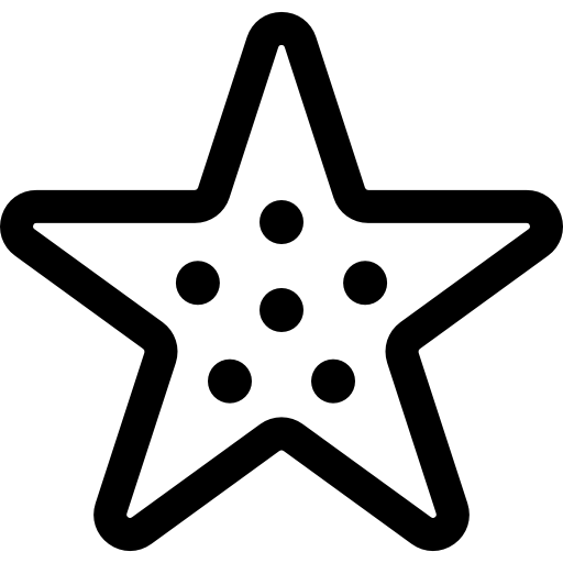 stella marina Basic Straight Lineal icona