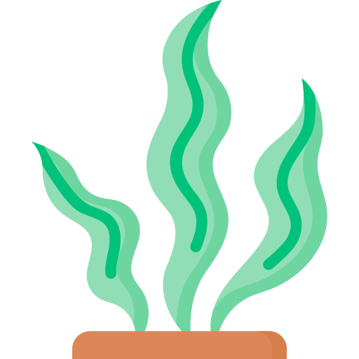 Seaweed Special Flat icon