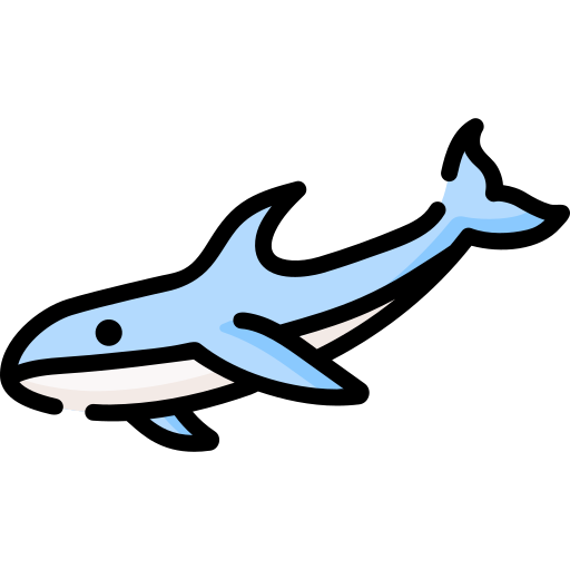 Акула Special Lineal color иконка