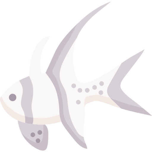 Banggai cardinalfish Special Flat icon